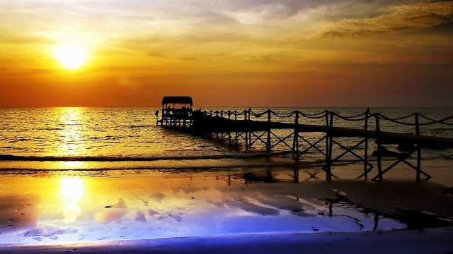 MGM：园林绿化的种植培育