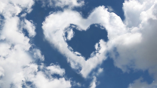 园林绿化用的棉带多少