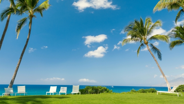 美高梅公司：园林绿化和卫生