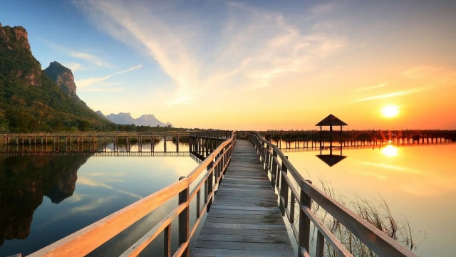 MGM：园林绿化树木秋季施肥吗