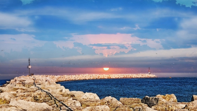 美高梅公司：园林绿化的功能和作用