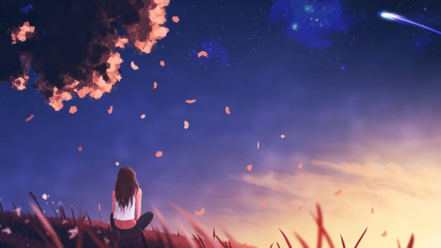 MGM：园林绿化植物明细