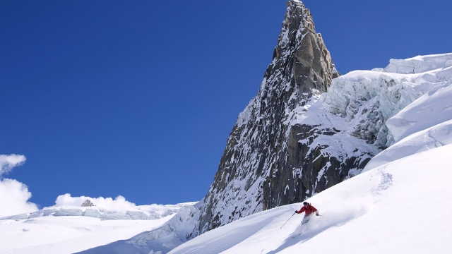 美高梅：园林绿化节约环保