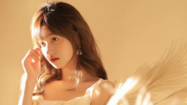 美高梅集团：园林绿化水属于什么水