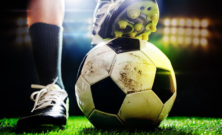 美高梅公司：园林绿化打药