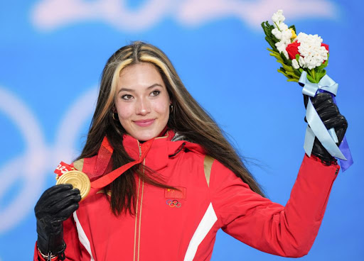 MGM：东海门第小区二期绿化工程